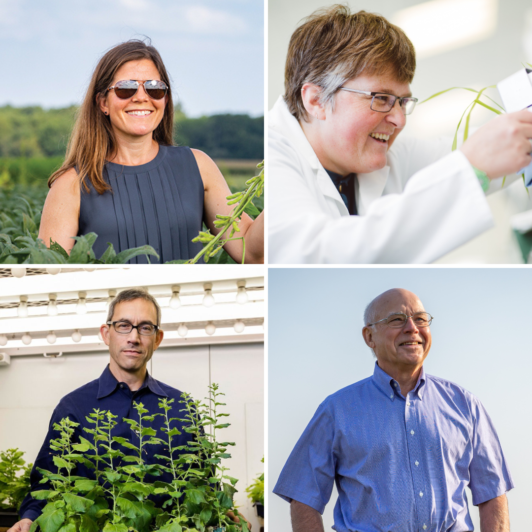 Four RIPE researchers recognized on 2022 Highly Cited list RIPE